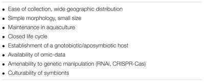 Emerging Sponge Models of Animal-Microbe Symbioses